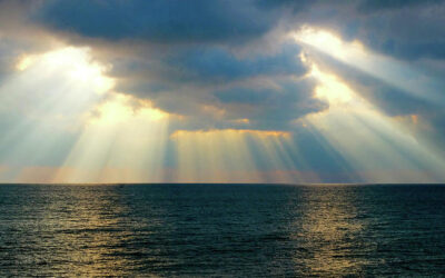 Alchymie as a Living Art: Transformation Through Steady Heat